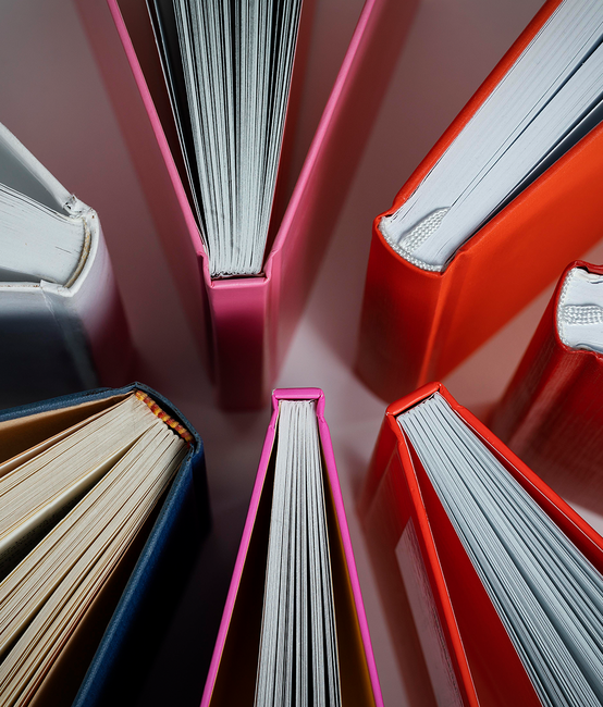 Shopware Shop mit Schnittstelle zu Abacus und WordPress